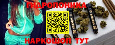 бошки Пенза